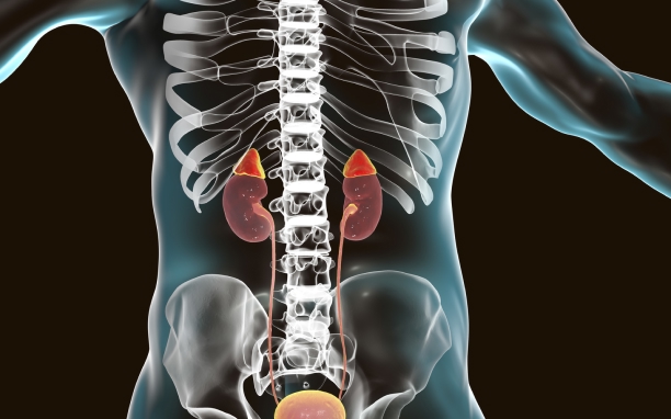 Adrenalectomy