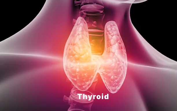 Thyroidectomy